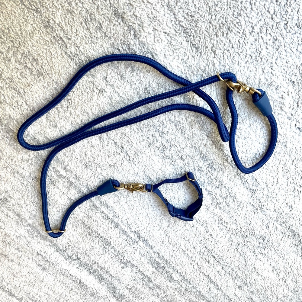 Awoo dog leash and collar, navy and gold, NWOT. Collar size small. Super nice!!